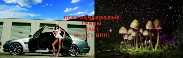 крисы Нефтегорск