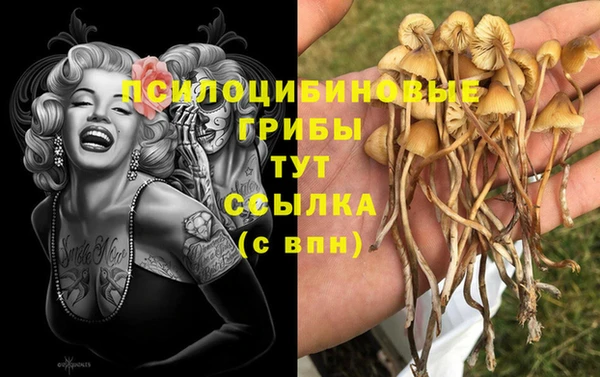 крисы Нефтегорск